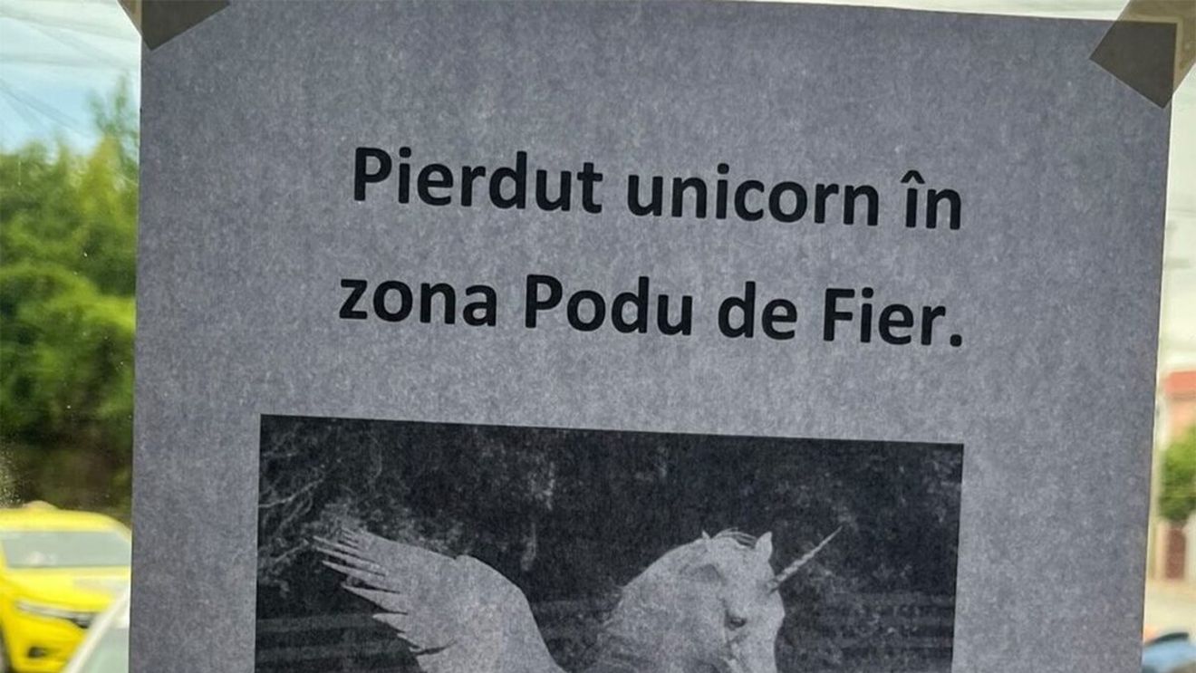 Acest anunț din Iași a devenit viral: "Pierdut unicorn în zona Podu de Fier. Dacă-l vedeți, nu vă.."