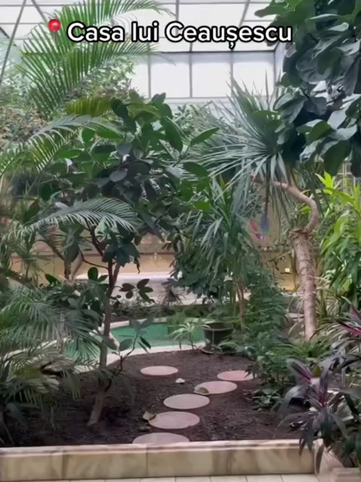 Grădina botanică din casa soților Ceaușescu (Foto: Captură Video)