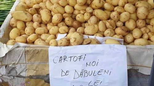 Au apărut primii cartofi noi românești în piață. Câți lei costă 1 kg. "Mai ieftini sunt la McDonald's!"