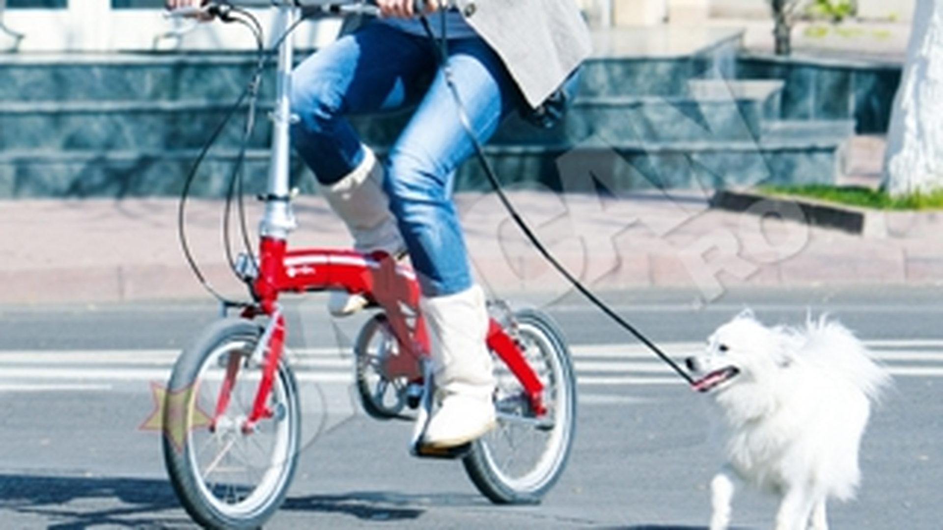 Diana Dumitrescu se plimba cu bicicleta si cu cainele in acelasi timp