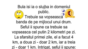 BANC | Bulă își ia o slujbă în domeniul public. Trebuie să vopsească banda de pe mijlocul unui drum