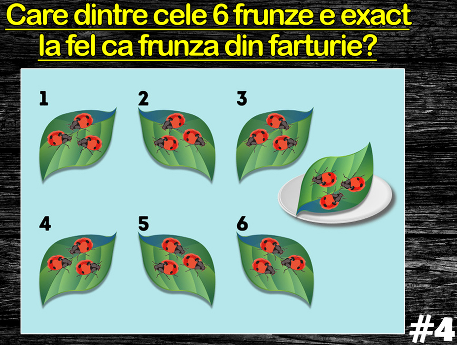 TEST IQ cu 10 întrebări | Prima: 3 medici susțin că Paul e fratele lor. Paul spune, însă, că nu are niciun frate. Cine minte?