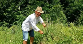 Galerie foto - poza 1