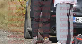 Galerie foto - poza 4