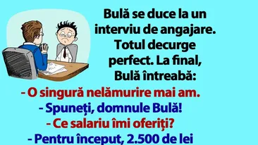 BANC | Bulă, la interviul de angajare: Ce salariu îmi oferiți?