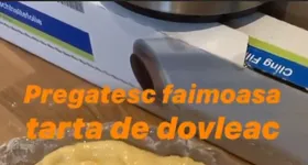 Galerie foto - poza 4