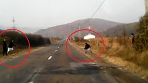 Pățania unor tineri care au întins un fir peste un drum național. Reacția unui șofer... VIDEO