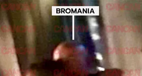 Galerie foto - poza 4