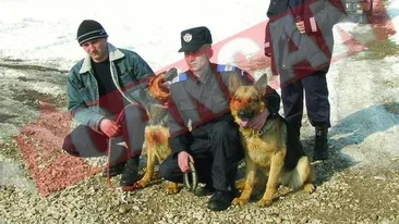 Antrenati sa salveze oamenii din avalanse