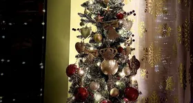 Galerie foto - poza 4