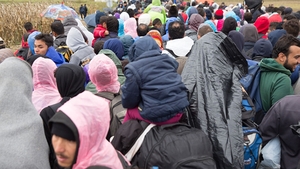 ATENTIE! 60 de imigranti au patruns ILEGAL in Romania din Serbia! Ce se intampla in aceste momente cu ei!