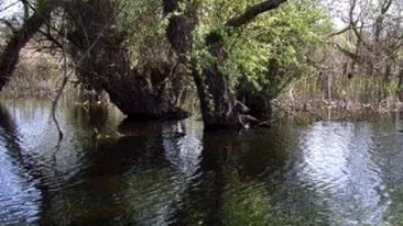 Doua persoane au murit dupa ce s-au rasturnat cu masina intr-un canal