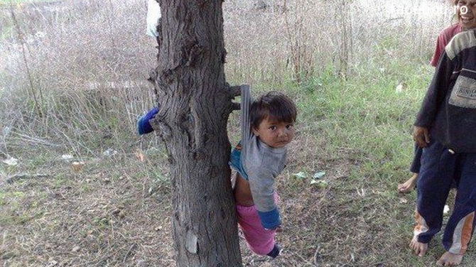 Vezi disperarea din ochii lui? Un puradel este agatat in pom de rudele mai mari si fac caterinca de el - Imaginea care te va enerva