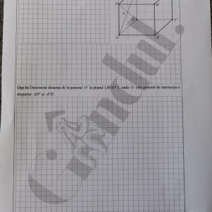 Barem Matematică la Evaluarea Naţională 2021. Cum se rezolvau subiectele