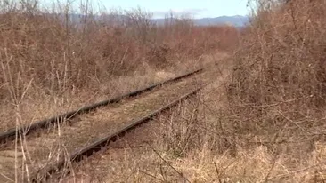 O bătrână de 78 de ani a murit călcată de tren încercând să-și adune curcile de pe șine