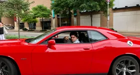 Galerie foto - poza 3