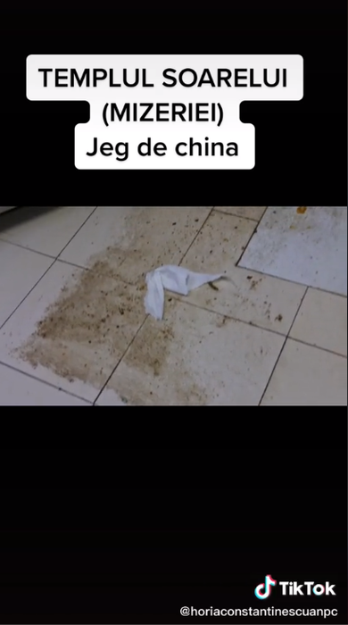 Șeful ANPC a sesizat o serie de nereguli în cadrul restaurantului „Templul Soarelui” din București. Sursă: captură video