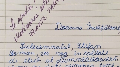 Un elev a reușit să își impresioneze învățătoarea! Acesta i-a trimis o cerere care a lăsat-o fără cuvinte. Ce a solicitat copilul