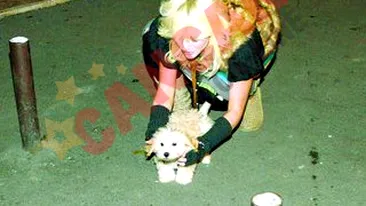 Are program de adunat rahatei