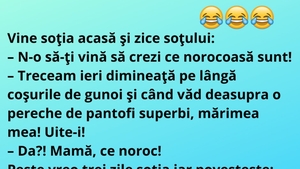 BANC | "Vine soţia acasă şi îi zice soţului: N-o să-ţi vină să crezi..."