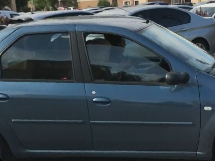 Cei doi au venit cu un Logan la cumpărături