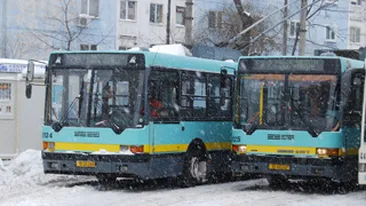 Circulatia troleibuzelor pe Bulevardul Regina Elisabeta a fost blocata de un copac cazut peste liniile electrice!