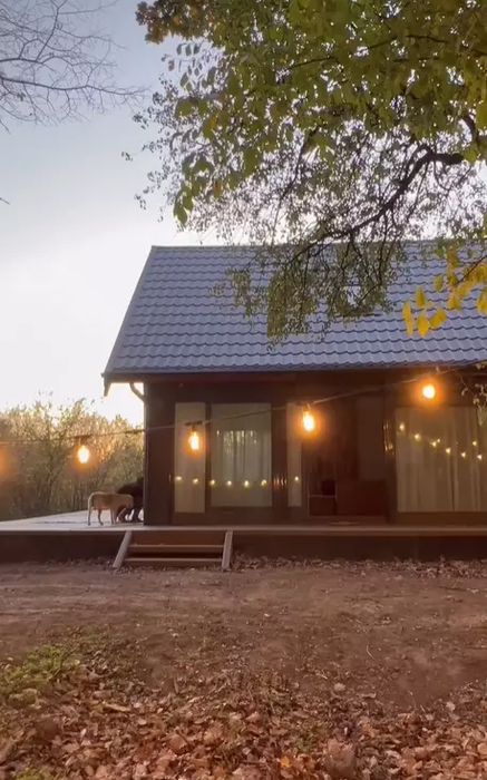 Sânziana Negru de la America Express şi-a făcut casă în pădure, de una singură! Cum arată bijuteria din inima naturii. FOTO