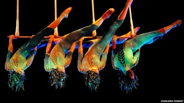 Clipe cumplite in timpul unui spectacol Cirque du Soleil. O acrobată a căzut in gol in fata spectatorilor: Suntem distrusi