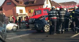 Galerie foto - poza 1