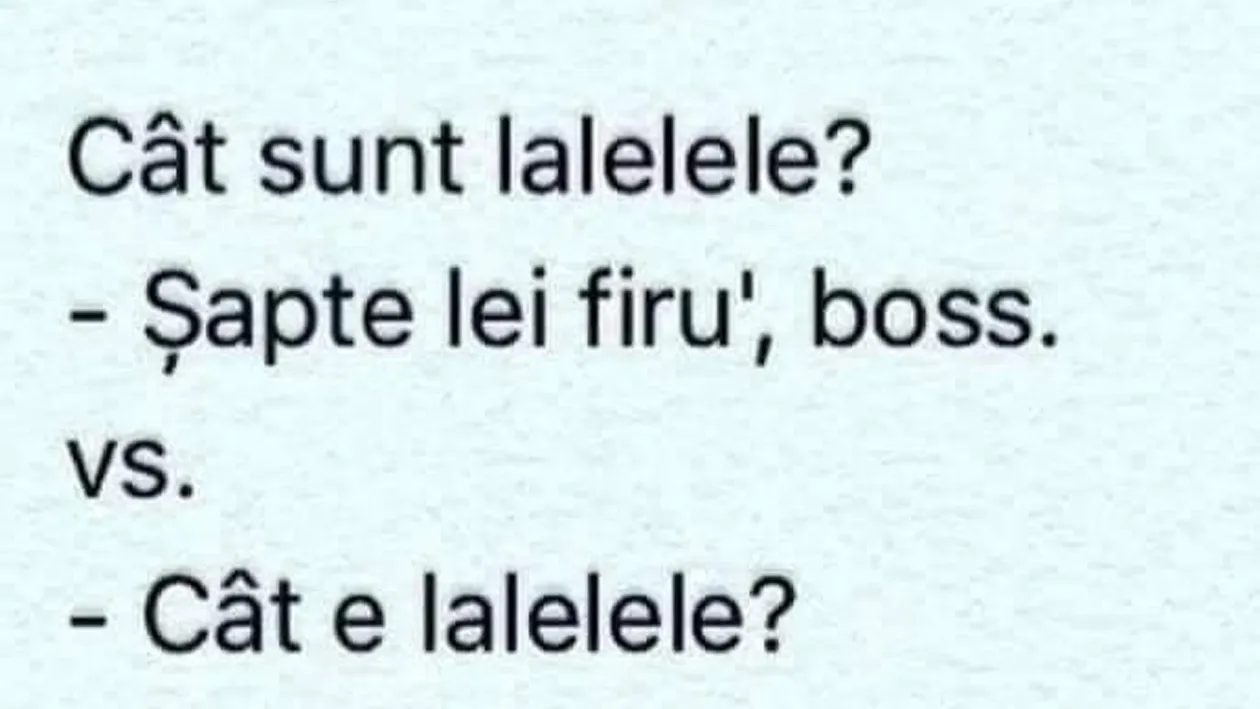 BANCUL ZILEI | Cât sunt lalelele? 7 lei firu', boss!