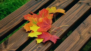Prognoza meteo pentru azi, 23 septembrie 2019. Meteorologii nu au vești bune: vin ploile