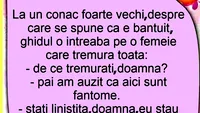 BANCUL ZILEI | De ce tremurați, doamnă?