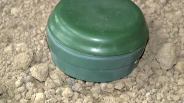 A plantat mine anti-personal in gradina de zarzavaturi de teama hotilor