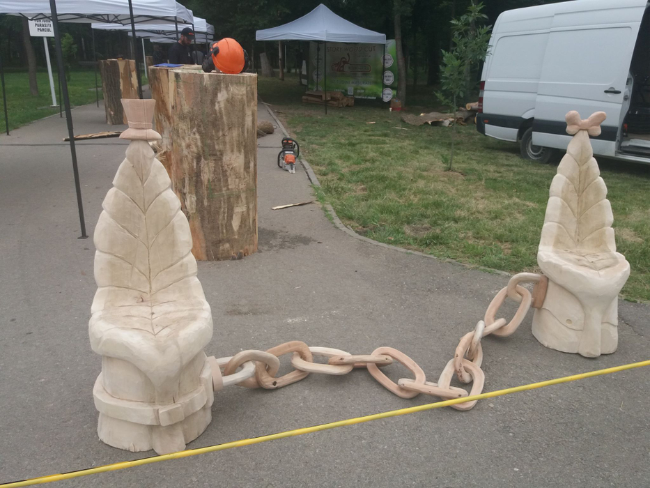 Operele realizate cu drujba în parcul din Craiova prind contur