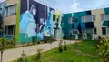 Județul din România unde sunt cei mai mulți ANALFABEȚI. Câți cetățeni nu știu să citească și să scrie