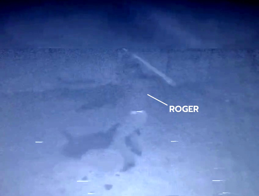 Roger a pus la pământ, în doar câteva secunde, trei dintre atacatori