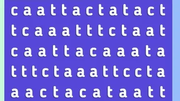 Test de inteligență | Numai cei cu IQ peste 200 găsesc cuvântul „Cat” în doar 20 de secunde!