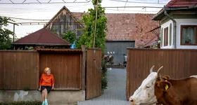 Galerie foto - poza 4