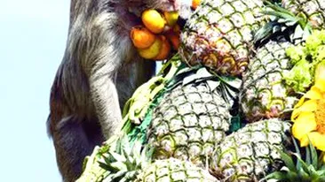 Ce de bunatati doar pentru noi!