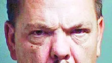 Si-a pus pisica la marinat