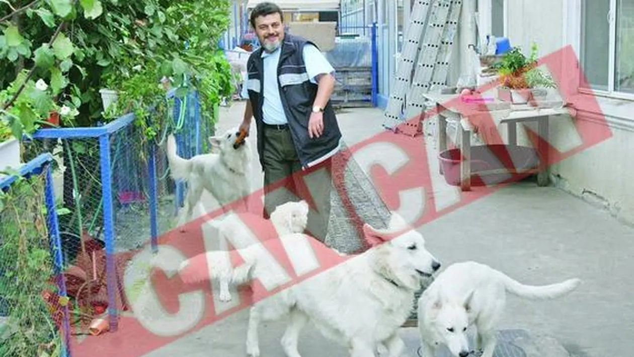 Lupii albi, interzisi de Hitler, au ajuns in ograda unui bucurestean