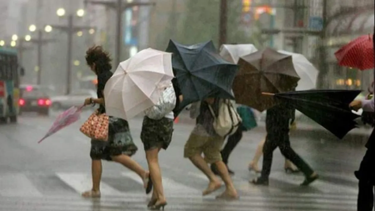 Ger, vant si ploi in ultimele zile ale anului. Vezi cum incepe 2013!