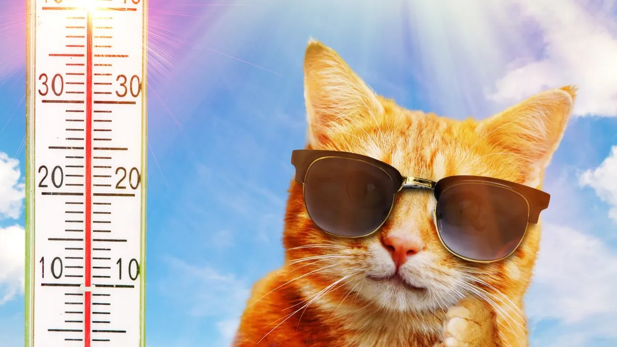 Prognoza meteo, luni, 2 august 2021. Codul portocaliu de caniculă va afecta aproape toată țara