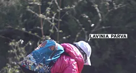 Galerie foto - poza 4