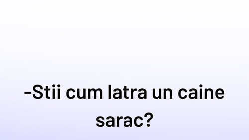 BANCUL ZILEI | Cum latră un câine sărac