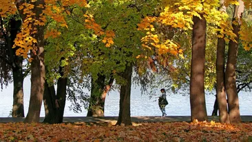Luna noiembrie aduce valori termice peste “normalul” perioadei. Prognoza meteo oferită de ANM ne alinta cu temperaturi de septembrie