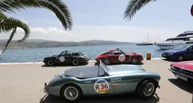 Galerie foto - poza 3