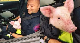 Galerie foto - poza 4