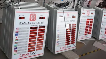 Curs valutar BNR 25 martie 2020. Nu s-a mai întâmplat așa ceva. Câți lei costă azi 1 euro și 1 dolar