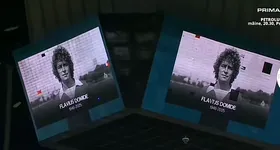 Galerie foto - poza 3